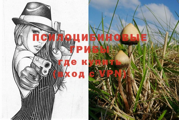 MDMA Аркадак