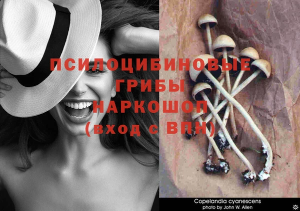 мяу мяу кристалл Армянск
